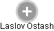 Laslov Ostash - Vizualizace  propojení osoby a firem v obchodním rejstříku