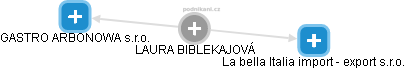LAURA BIBLEKAJOVÁ - Vizualizace  propojení osoby a firem v obchodním rejstříku
