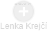 Lenka Krejčí - Vizualizace  propojení osoby a firem v obchodním rejstříku