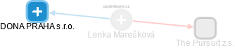 Lenka Marešková - Vizualizace  propojení osoby a firem v obchodním rejstříku