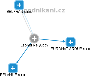  Leonid N. - Vizualizace  propojení osoby a firem v obchodním rejstříku