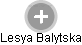 Lesya Balytska - Vizualizace  propojení osoby a firem v obchodním rejstříku
