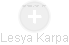 Lesya Karpa - Vizualizace  propojení osoby a firem v obchodním rejstříku