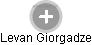 Levan Giorgadze - Vizualizace  propojení osoby a firem v obchodním rejstříku