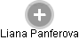 Liana Panferova - Vizualizace  propojení osoby a firem v obchodním rejstříku