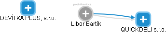 Libor Bartík - Vizualizace  propojení osoby a firem v obchodním rejstříku