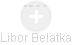 Libor Belatka - Vizualizace  propojení osoby a firem v obchodním rejstříku