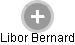 Libor Bernard - Vizualizace  propojení osoby a firem v obchodním rejstříku