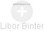 Libor Binter - Vizualizace  propojení osoby a firem v obchodním rejstříku