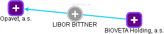 LIBOR BITTNER - Vizualizace  propojení osoby a firem v obchodním rejstříku