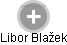  Libor Blažek - Vizualizace  propojení osoby a firem v obchodním rejstříku