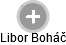 Libor Boháč - Vizualizace  propojení osoby a firem v obchodním rejstříku