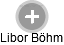 Libor Böhm - Vizualizace  propojení osoby a firem v obchodním rejstříku