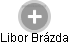 Libor Brázda - Vizualizace  propojení osoby a firem v obchodním rejstříku