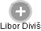 Libor Diviš - Vizualizace  propojení osoby a firem v obchodním rejstříku