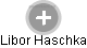 Libor Haschka - Vizualizace  propojení osoby a firem v obchodním rejstříku