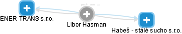 Libor Hasman - Vizualizace  propojení osoby a firem v obchodním rejstříku