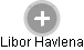 Libor Havlena - Vizualizace  propojení osoby a firem v obchodním rejstříku