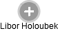 Libor Holoubek - Vizualizace  propojení osoby a firem v obchodním rejstříku
