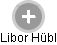 Libor Hübl - Vizualizace  propojení osoby a firem v obchodním rejstříku