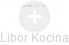 Libor Kocina - Vizualizace  propojení osoby a firem v obchodním rejstříku