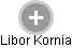 Libor Kornia - Vizualizace  propojení osoby a firem v obchodním rejstříku