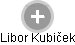 Libor Kubiček - Vizualizace  propojení osoby a firem v obchodním rejstříku