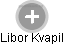 Libor Kvapil - Vizualizace  propojení osoby a firem v obchodním rejstříku