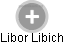 Libor Libich - Vizualizace  propojení osoby a firem v obchodním rejstříku