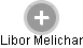Libor Melichar - Vizualizace  propojení osoby a firem v obchodním rejstříku