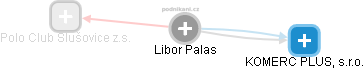 Libor Palas - Vizualizace  propojení osoby a firem v obchodním rejstříku