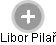 Libor Pilař - Vizualizace  propojení osoby a firem v obchodním rejstříku