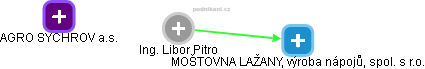 LIBOR PITRO - Vizualizace  propojení osoby a firem v obchodním rejstříku