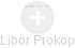 Libor Prokop - Vizualizace  propojení osoby a firem v obchodním rejstříku