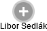 Libor Sedlák - Vizualizace  propojení osoby a firem v obchodním rejstříku