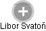 Libor Svatoň - Vizualizace  propojení osoby a firem v obchodním rejstříku