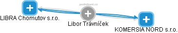 Libor Trávníček - Vizualizace  propojení osoby a firem v obchodním rejstříku