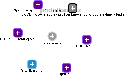 Libor Žížala - Vizualizace  propojení osoby a firem v obchodním rejstříku
