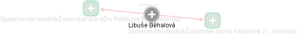 Libuše Běhalová - Vizualizace  propojení osoby a firem v obchodním rejstříku