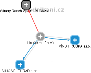 Libuše Hrušková - Vizualizace  propojení osoby a firem v obchodním rejstříku