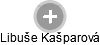 Libuše Kašparová - Vizualizace  propojení osoby a firem v obchodním rejstříku