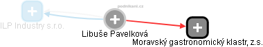 Libuše Pavelková - Vizualizace  propojení osoby a firem v obchodním rejstříku