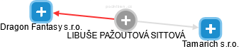 LIBUŠE PAŽOUTOVÁ SITTOVÁ - Vizualizace  propojení osoby a firem v obchodním rejstříku