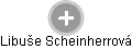 Libuše Scheinherrová - Vizualizace  propojení osoby a firem v obchodním rejstříku