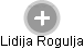 Lidija Rogulja - Vizualizace  propojení osoby a firem v obchodním rejstříku