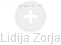 Lidija Zorja - Vizualizace  propojení osoby a firem v obchodním rejstříku