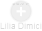 Lilia Dimici - Vizualizace  propojení osoby a firem v obchodním rejstříku