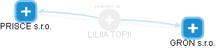 LILIIA TOPII - Vizualizace  propojení osoby a firem v obchodním rejstříku