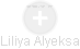 Liliya Alyeksa - Vizualizace  propojení osoby a firem v obchodním rejstříku