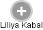 Liliya Kabal - Vizualizace  propojení osoby a firem v obchodním rejstříku